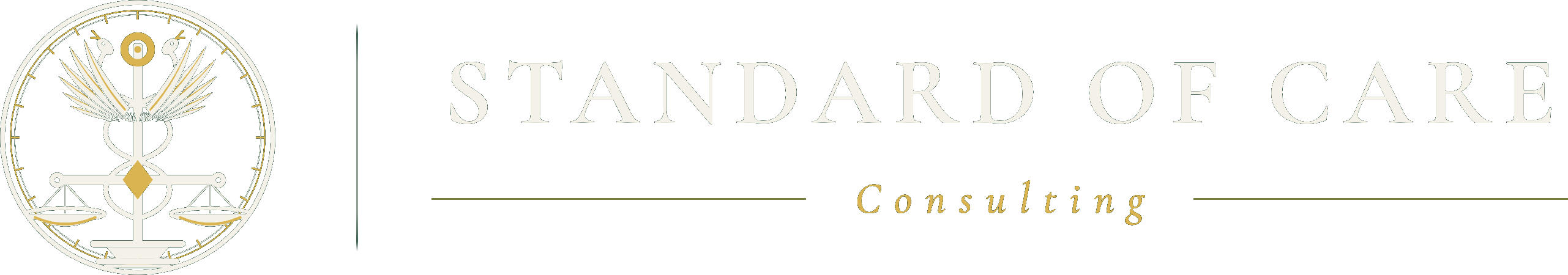 Standard of Care Consulting